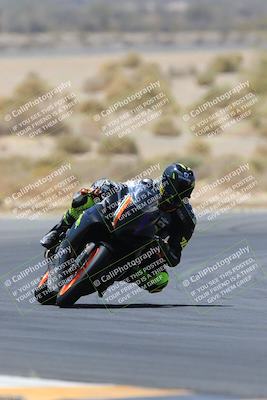 media/May-14-2023-SoCal Trackdays (Sun) [[024eb53b40]]/Turn 5 Tree of Life (1125am)/